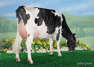 MANTOO GOLDWYN BRUXIA