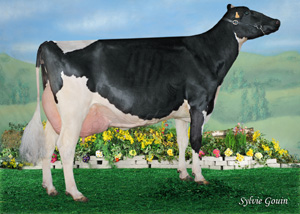 MANTOO GOLDWYN RUNIA