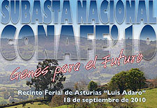 subasta nacional CONAFE 10