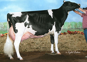 ARETHUSA GOLDWYN VALENCIA